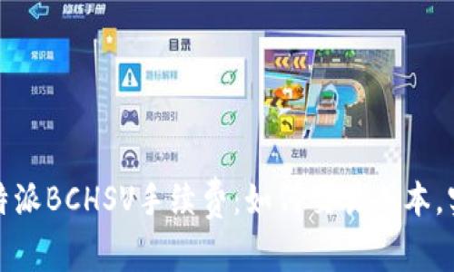 全面解析比特派BCHSV手续费：如何交易成本，实现最大收益