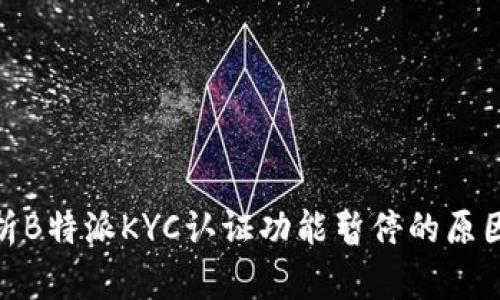全面解析B特派KYC认证功能暂停的原因与影响