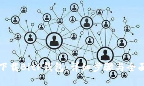 如何下载BitP钱包：详细步骤与全面指南