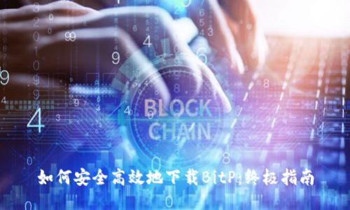 如何安全高效地下载BitP：终极指南