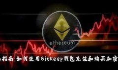 全面指南：如何使用BitK