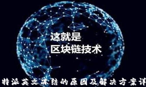 
比特派英文冻结的原因及解决方案详解