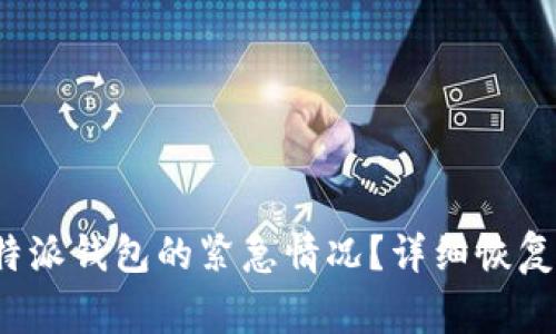 如何处理丢失b特派钱包的紧急情况？详细恢复步骤及注意事项
