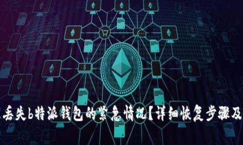 如何处理丢失b特派钱包的紧急情况？详细恢复步骤及注意事项