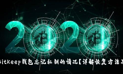如何处理BitKeep钱包忘记私钥的情况？详解恢复方法及注意事项