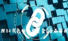 如何有效管理BK钱包的大额
