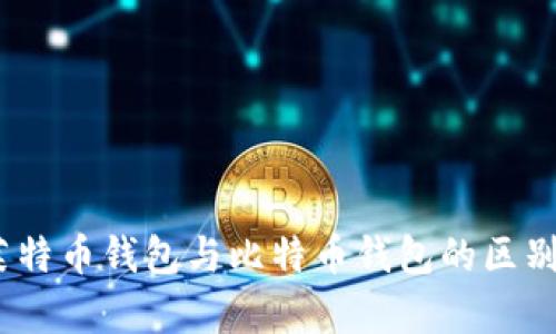 全面解析：莱特币钱包与比特币钱包的区别与使用指南