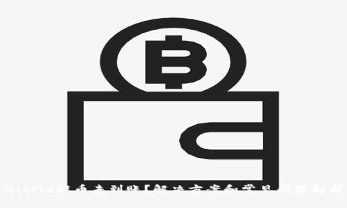 BitPie提币未到账？解决方案和常见问题解析