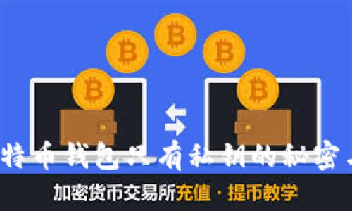 深入探讨：比特币钱包只有私钥的秘密与安全性解析