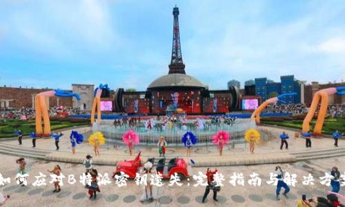 如何应对B特派密钥遗失：完整指南与解决方案