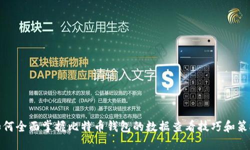 如何全面掌握比特币钱包的数据查看技巧和策略