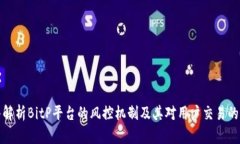 深入解析BitP平台的风控机