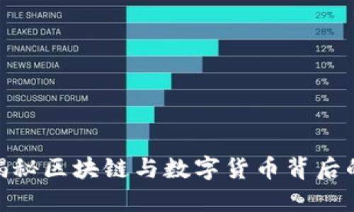 探秘B特派：揭秘区块链与数字货币背后的潜力与风险