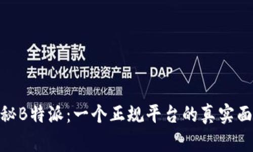 揭秘B特派：一个正规平台的真实面貌