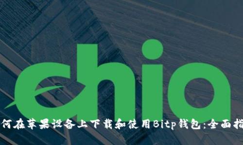 如何在苹果设备上下载和使用Bitp钱包：全面指南