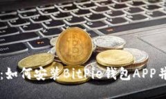 详尽指南：如何安装BitP