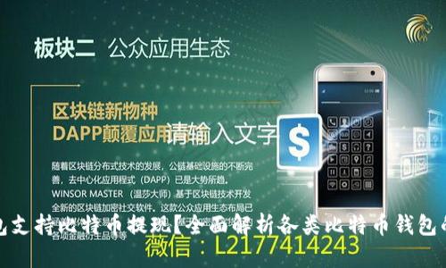 : 哪款钱包支持比特币提现？全面解析各类比特币钱包的提现功能