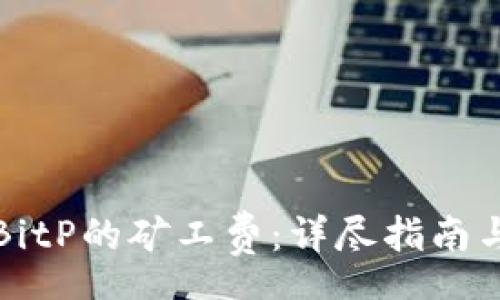 apache
如何有效购买BitP的矿工费：详尽指南与常见问题解答