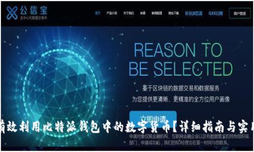 如何有效利用比特派钱包中的数字货币？详细指南与实用技巧