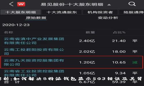 深入解析：如何解决B特派钱包显示503错误及其背后原因