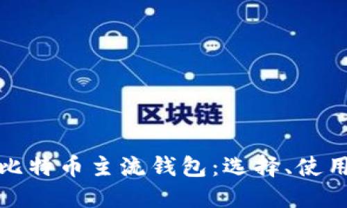深入了解比特币主流钱包：选择、使用与安全性