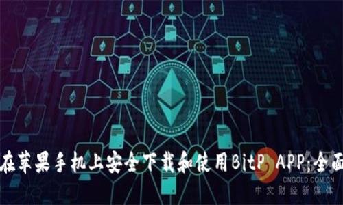 如何在苹果手机上安全下载和使用BitP APP：全面指南