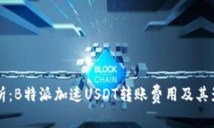 深入解析：B特派加速USD