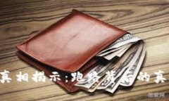 BitKeep钱包项目真相揭示：