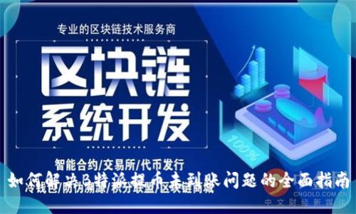 如何解决B特派提币未到账问题的全面指南