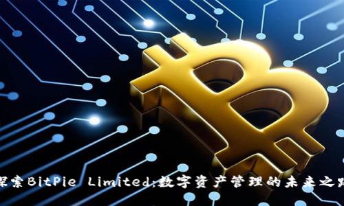 探索BitPie Limited：数字资产管理的未来之路