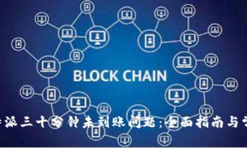 如何解决B特派三十分钟未到账问题：全面指南与常见疑问解析