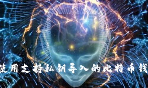 如何选择和使用支持私钥导入的比特币钱包：全面指南