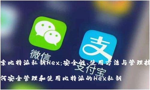 探索比特派私钥Hex：安全性、使用方法与管理技巧

如何安全管理和使用比特派的Hex私钥