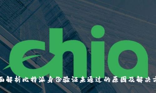 全面解析比特派身份验证未通过的原因及解决方案
