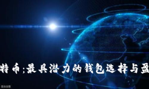 揭秘比特币：最具潜力的钱包选择与盈利策略