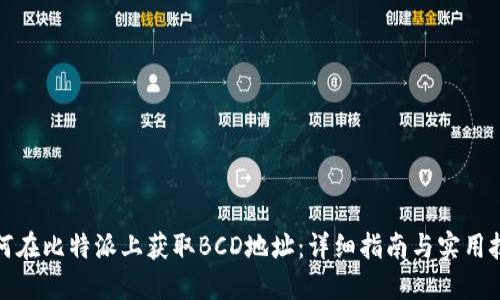 如何在比特派上获取BCD地址：详细指南与实用技巧