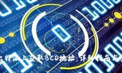 如何在比特派上获取BCD地