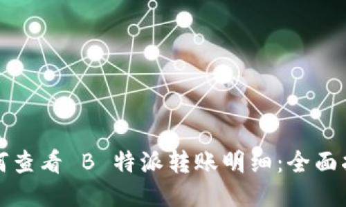如何查看 B 特派转账明细：全面指南