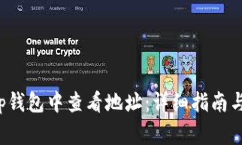 如何在Bitkeep钱包中查看地址：详细指南与常见问题解答