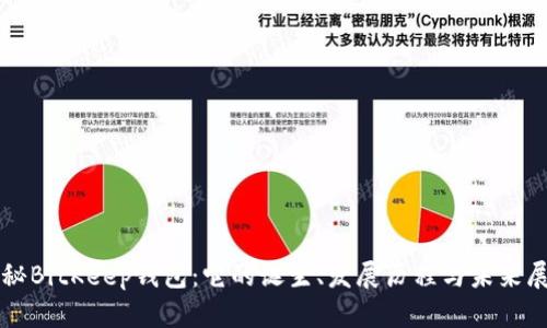 揭秘BitKeep钱包：它的诞生、发展历程与未来展望