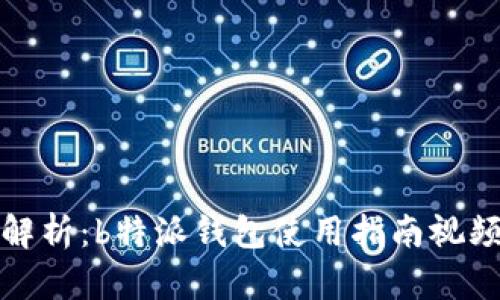 全面解析：b特派钱包使用指南视频教程
