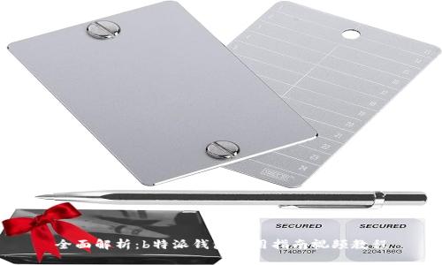 全面解析：b特派钱包使用指南视频教程