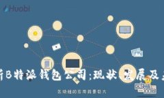 全面剖析B特派钱包公司：