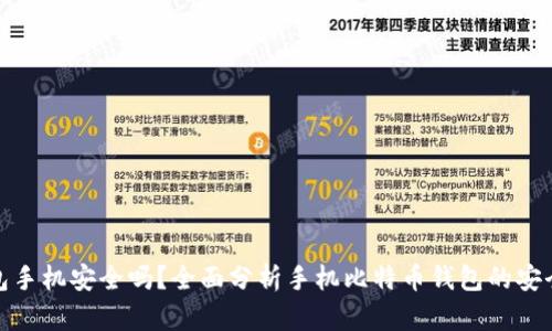 比特币钱包手机安全吗？全面分析手机比特币钱包的安全性与风险