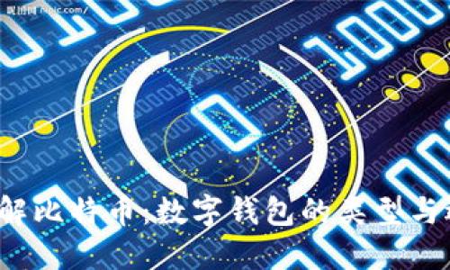  深入了解比特币：数字钱包的类型与选择指南