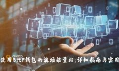 如何使用BitP钱包的波场能