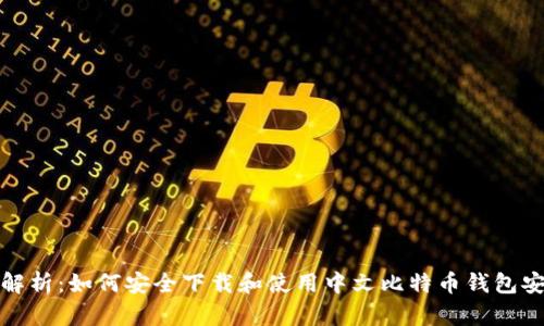 全面解析：如何安全下载和使用中文比特币钱包安卓版