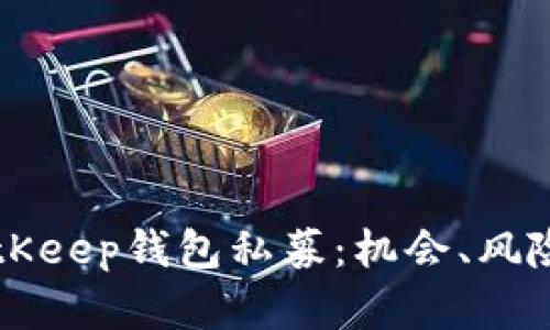 深入解析BitKeep钱包私募：机会、风险与未来展望
