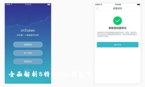 全面解析B特派Pro钱包下载及使用指南