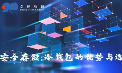 比特币安全存储：冷钱包的优势与选择指南